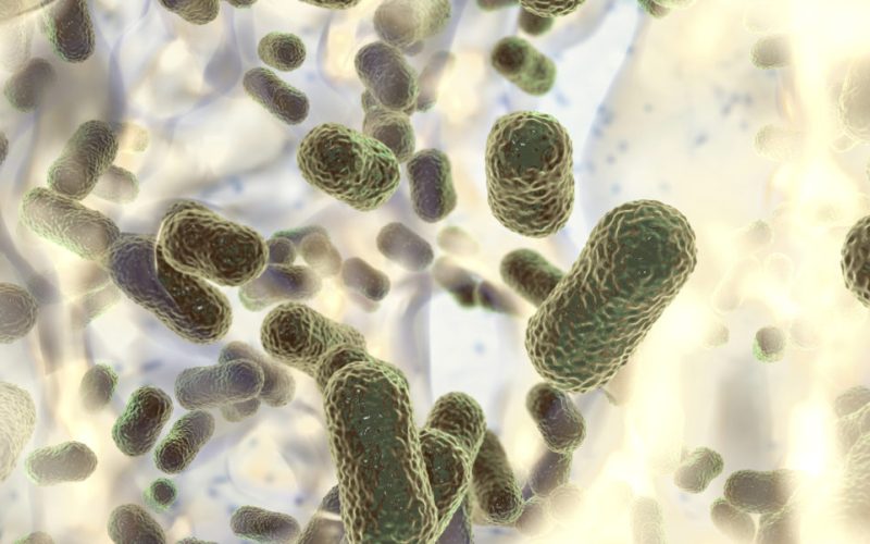 Acinetobacter-baumannii-1068x601