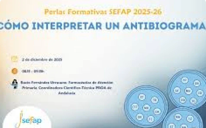 Proyecto-nuevo-5