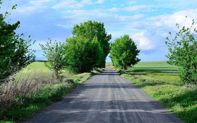 camino