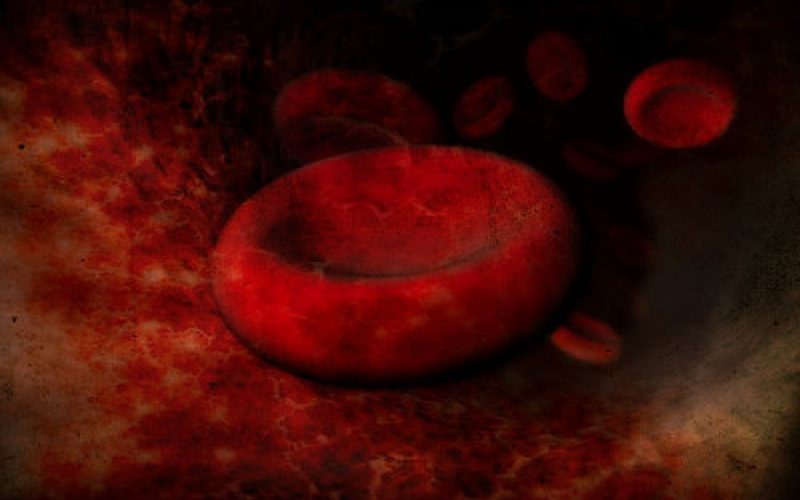 globulos-rojos