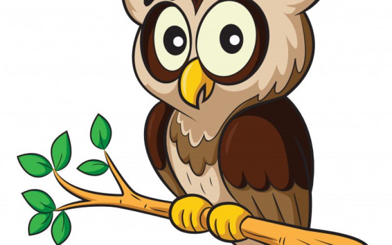 owl-cartoon_119631-109